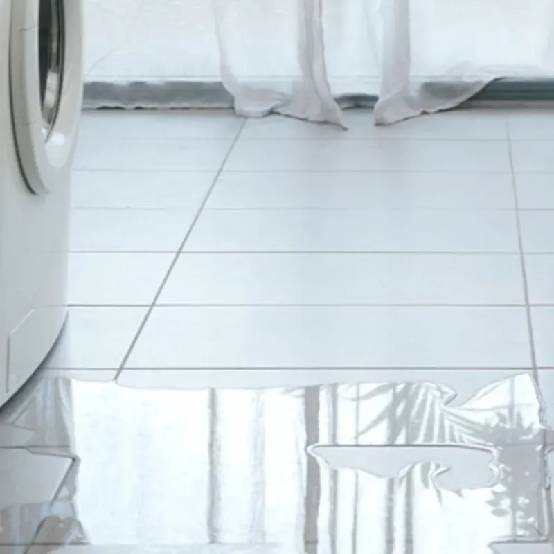 Appliance Leak Cleanup in Jackson, MO