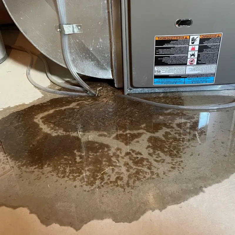 Pipe Burst and Leak Restoration in Jackson, MO