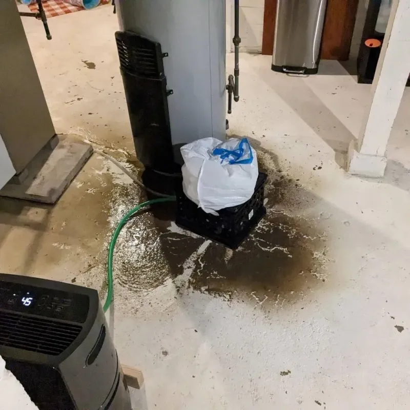 Sewage Backup Cleanup Service in Jackson, MO
